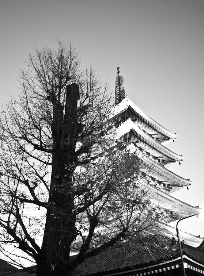 Tempiale nel Giappone, albero e Pagoda