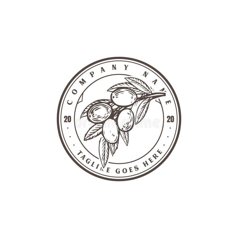 Vintage Retro Olive Oil Fruit Nature Logo Design Vector stock illustration