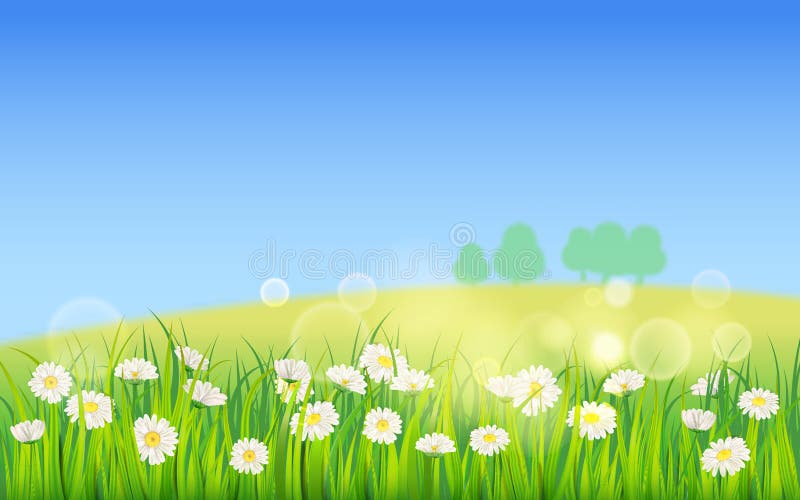 Template background Spring field of flowers of daisies and green juicy grass, meadow, blue sky, white clouds. Vector