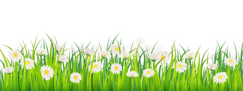 Template background Spring field of flowers of daisies and green juicy grass, meadow, blue sky, white clouds. Vector