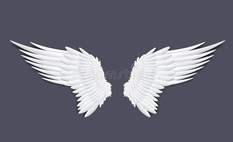 Template of feathers angel or bird wings realistic vector illustration isolated.