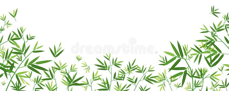 Template fundal naturale frunze de bambus. banner și fundal pentru cărți de decorare vector illustration