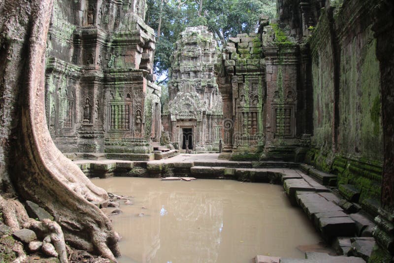 Temple de Ta Prohm cambodia Province de Siem Reap Ville de Siem Reap image libre de droits Temple de Ta Prohm cambodia Province de Siem Reap Ville de Siem Reap image libre de droits