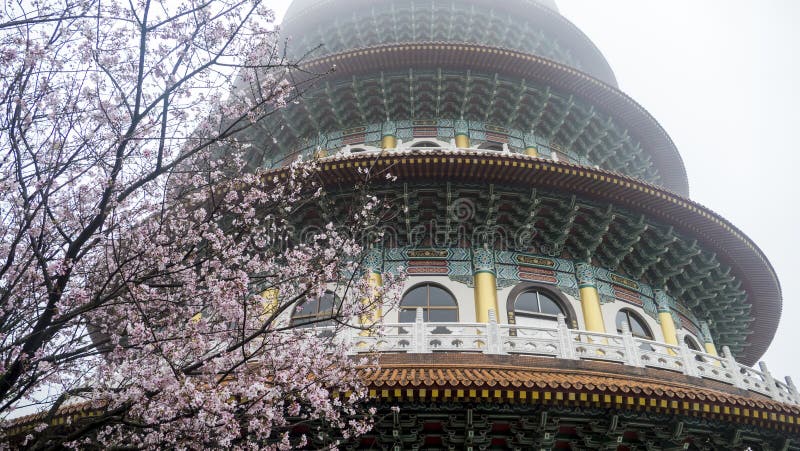Temple de Tien-yuans avec des fleurs de cerisier à Taïpeh photographie stock Temple de Tien-yuans avec des fleurs de cerisier à Taïpeh photographie stock