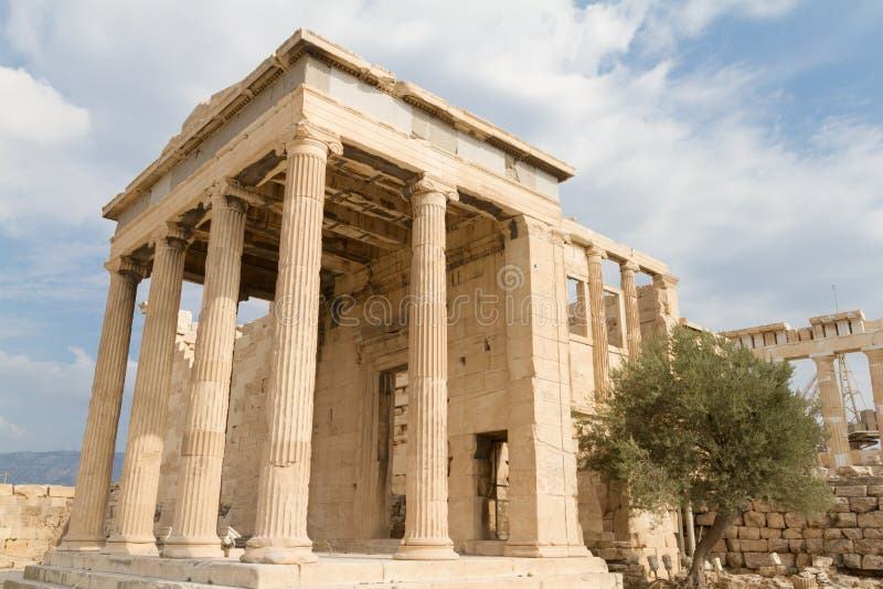 Temple and Olive Tree at the Acropolis of Athens, Greece Stock Image