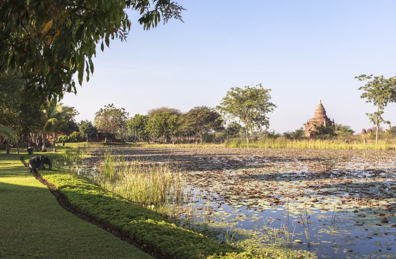 Templele din Bagan Myanmar royalty free stock images
