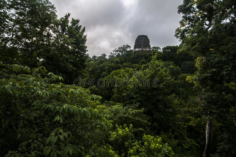 Templo arruinado encima de la selva fotografía de archivo libre de regalías Templo arruinado encima de la selva fotografía de archivo libre de regalías