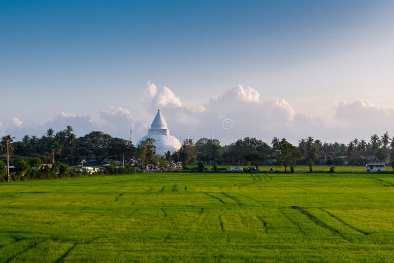 Templo budista na vila de Tissamaharama, Sri Lanka foto de stock Templo budista na vila de Tissamaharama, Sri Lanka foto de stock