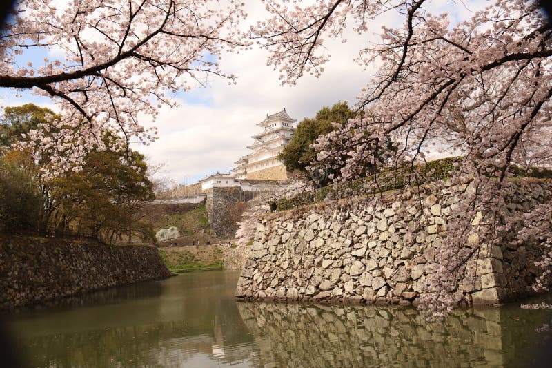 The Himeji castle is nicknamed “White Heron” due in part to its beautiful and elegant appearance. In 1333, the Akamatsu family constructed a fort in Himeyama while advancing soldiers to Kyo. In 1346, Sadanori Akamatsu built a full-scale castle in Himeyama, which is located on top of hill.  In 1580, Hideyoshi erected a three-story castle tower. The castle completed the castle the following year. Centuries past with a series of lords ruling. Eventually, the castle tower was designated a National treasure & x28;1931& x29; and a new national treasure & x28;1951& x29;. And years later, the castle underwent major construction & x28;1956-1964& x29;. Finally, after being registered as a UNESCO World Cultural Heritage Site & x28;1993& x29;, the castle was repaired & x28;2009& x29;, and opened its doors for the public & x28;2015& x29;. The Himeji castle is nicknamed “White Heron” due in part to its beautiful and elegant appearance. In 1333, the Akamatsu family constructed a fort in Himeyama while advancing soldiers to Kyo. In 1346, Sadanori Akamatsu built a full-scale castle in Himeyama, which is located on top of hill.  In 1580, Hideyoshi erected a three-story castle tower. The castle completed the castle the following year. Centuries past with a series of lords ruling. Eventually, the castle tower was designated a National treasure & x28;1931& x29; and a new national treasure & x28;1951& x29;. And years later, the castle underwent major construction & x28;1956-1964& x29;. Finally, after being registered as a UNESCO World Cultural Heritage Site & x28;1993& x29;, the castle was repaired & x28;2009& x29;, and opened its doors for the public & x28;2015& x29;.