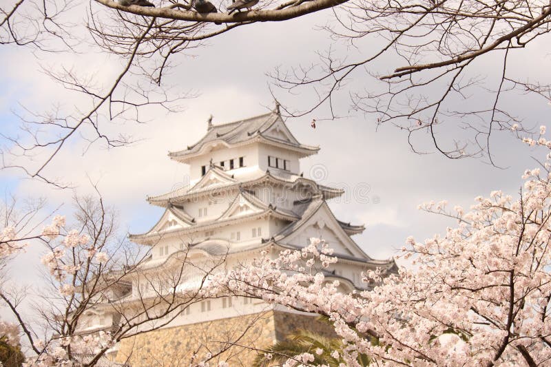 The Himeji castle is nicknamed “White Heron” due in part to its beautiful and elegant appearance. In 1333, the Akamatsu family constructed a fort in Himeyama while advancing soldiers to Kyo. In 1346, Sadanori Akamatsu built a full-scale castle in Himeyama, which is located on top of hill.  In 1580, Hideyoshi erected a three-story castle tower. The castle completed the castle the following year. Centuries past with a series of lords ruling. Eventually, the castle tower was designated a National treasure & x28;1931& x29; and a new national treasure & x28;1951& x29;. And years later, the castle underwent major construction & x28;1956-1964& x29;. Finally, after being registered as a UNESCO World Cultural Heritage Site & x28;1993& x29;, the castle was repaired & x28;2009& x29;, and opened its doors for the public & x28;2015& x29;. The Himeji castle is nicknamed “White Heron” due in part to its beautiful and elegant appearance. In 1333, the Akamatsu family constructed a fort in Himeyama while advancing soldiers to Kyo. In 1346, Sadanori Akamatsu built a full-scale castle in Himeyama, which is located on top of hill.  In 1580, Hideyoshi erected a three-story castle tower. The castle completed the castle the following year. Centuries past with a series of lords ruling. Eventually, the castle tower was designated a National treasure & x28;1931& x29; and a new national treasure & x28;1951& x29;. And years later, the castle underwent major construction & x28;1956-1964& x29;. Finally, after being registered as a UNESCO World Cultural Heritage Site & x28;1993& x29;, the castle was repaired & x28;2009& x29;, and opened its doors for the public & x28;2015& x29;.