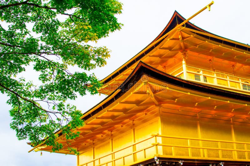 Templo De Kinkaku Ji Do Pavilhao Dourado E De Uma Arvore Imagem De Stock Imagem De Branco Verde