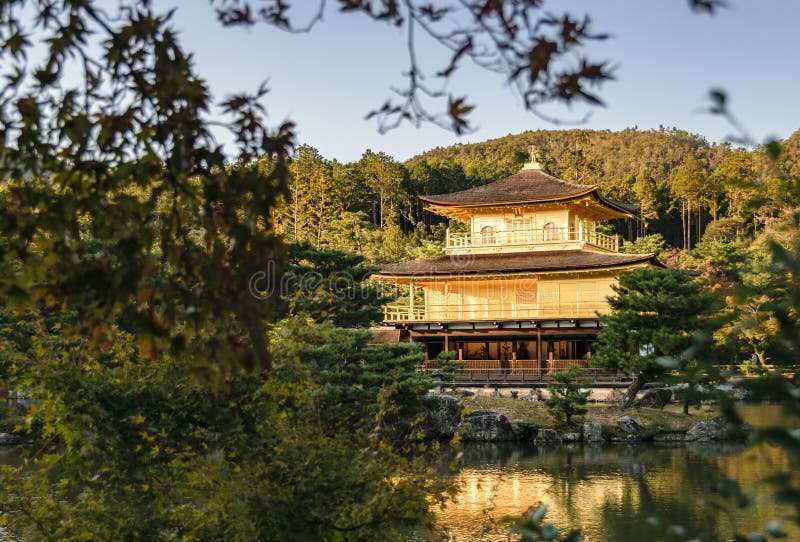 Templo de Oro en Kioto a través de las hojas imagen de archivo libre de regalías Templo de Oro en Kioto a través de las hojas imagen de archivo libre de regalías