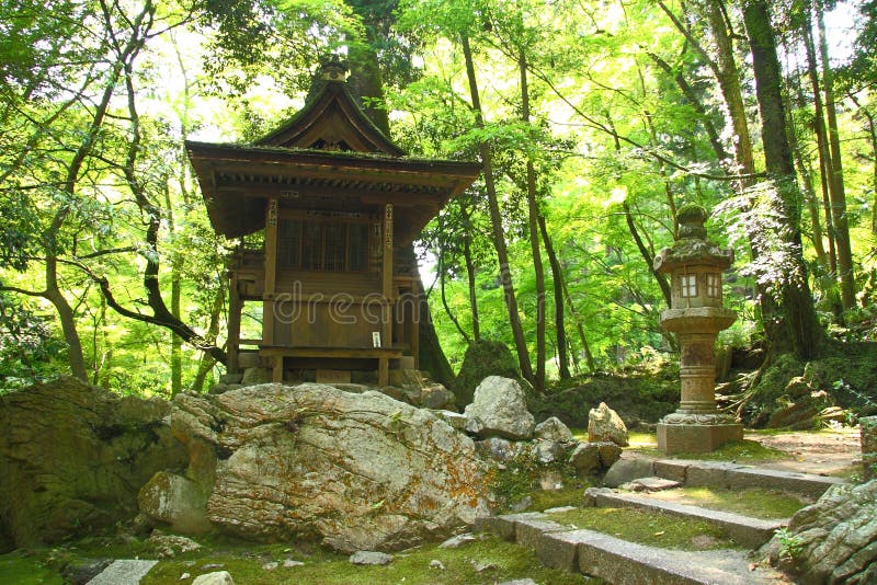Templo Japonês Na Floresta. Ilustração Vetorial. Eps 10 Arquivo