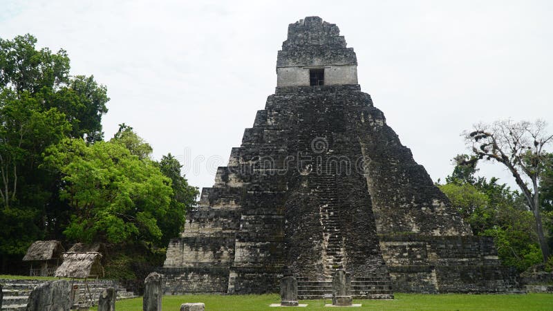 Templos de Tikal, parque nacional de Tikal, Guatemala imagens de stock royalty free Templos de Tikal, parque nacional de Tikal, Guatemala imagens de stock royalty free