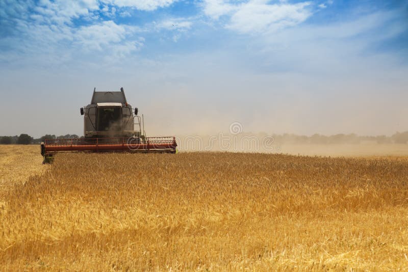 Harvest time / A combine harvester working in a wheat field. Harvest time / A combine harvester working in a wheat field