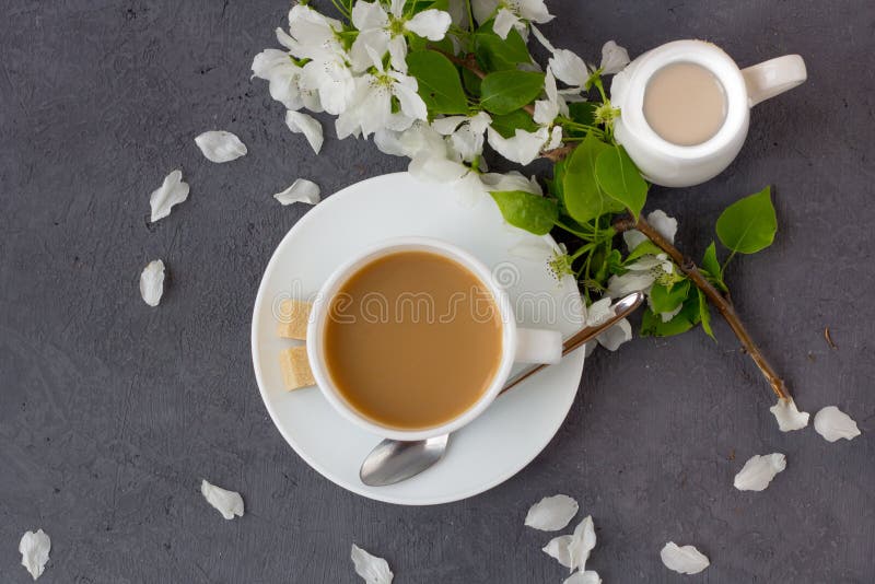 Tempo e felicidade de relaxamento com xícara de café foto de stock Tempo e felicidade de relaxamento com xícara de café foto de stock