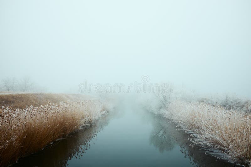 Temps brumeux de rivière d'hiver