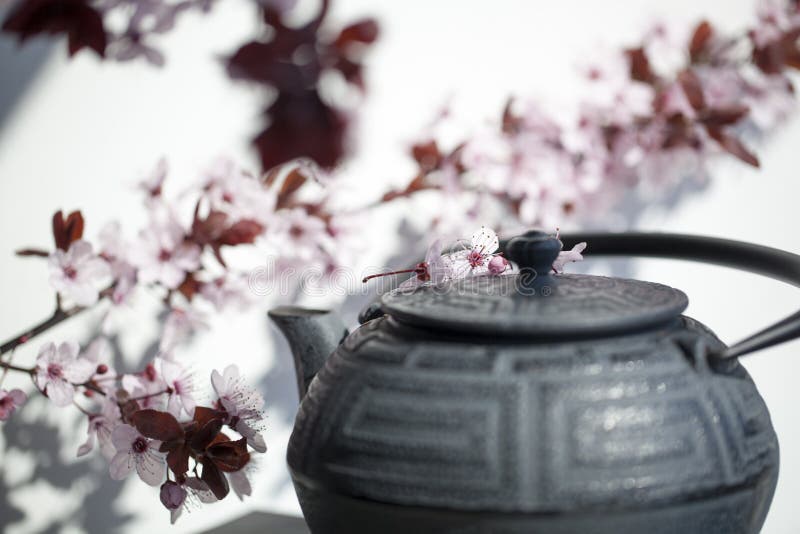 Temps de thé de zen pour le fengshui et la méditation photos libres de droits Temps de thé de zen pour le fengshui et la méditation photos libres de droits
