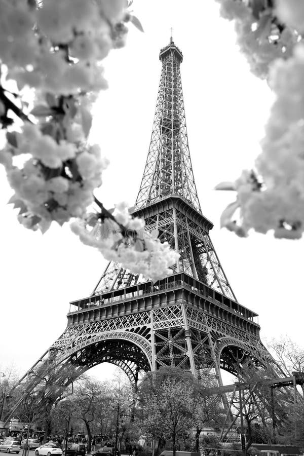 Temps de Tour Eiffel au printemps, Paris, France photo libre de droits Temps de Tour Eiffel au printemps, Paris, France photo libre de droits
