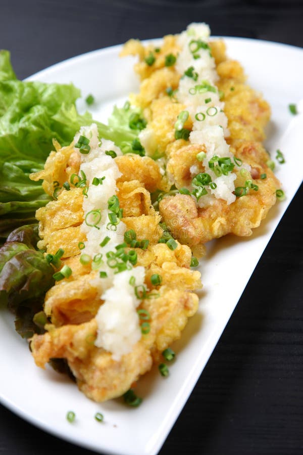 Tempura del pollo con il ravanello giapponese grattato fotografie stock Tempura del pollo con il ravanello giapponese grattato fotografie stock