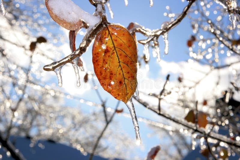 Tempête de neige et de glace photographie stock libre de droits Tempête de neige et de glace photographie stock libre de droits