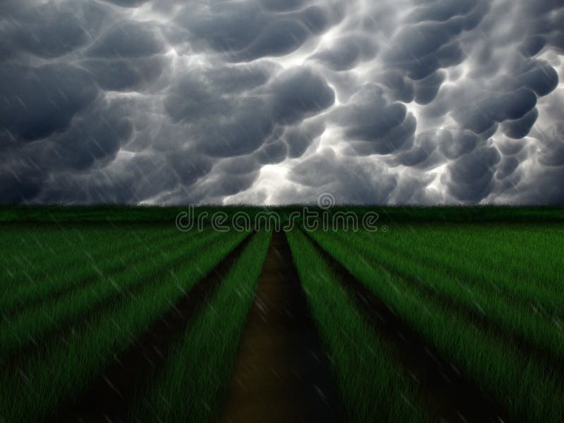 Tempête de pluie au-dessus de ferme illustration stock Tempête de pluie au-dessus de ferme illustration stock