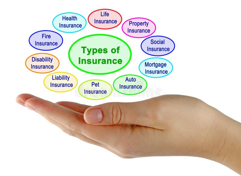 Insurance Corpus Christi