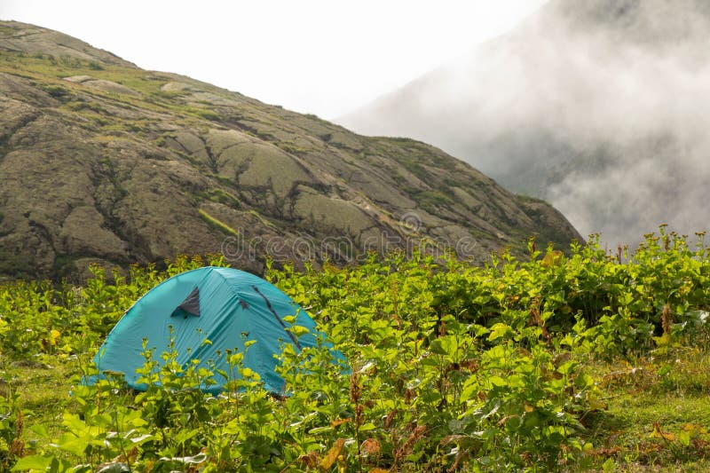 Tenda al centro di piante verdi fotografia stock