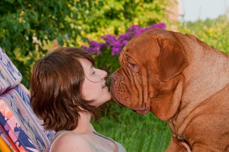Tender Kiss with a Large Dog. Tender Kiss with a Large Dog