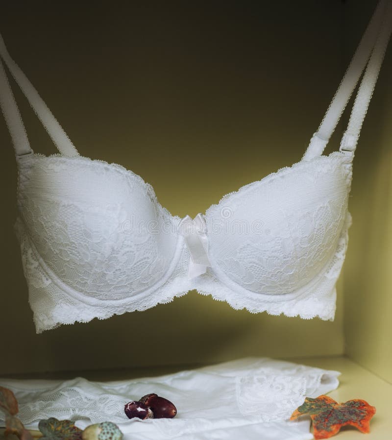 Tender Female Underwear, Brassiere and Panties. Fashionable Lingerie  Concept. Stock Photo - Image of lace, cotton: 156862598