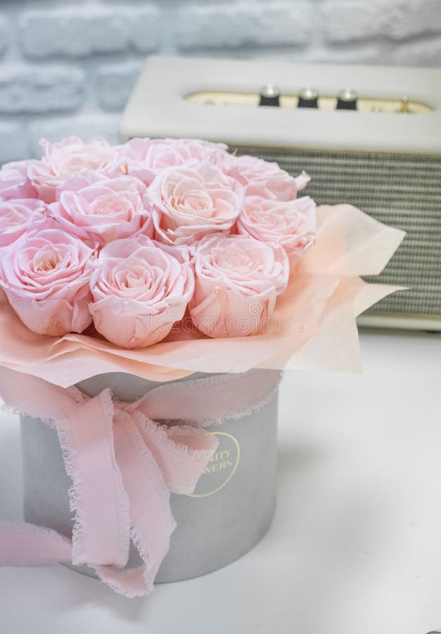 Tender Roses White Hat Box. Preserved White Roses in a Hat Box Stock Image Image of roses
