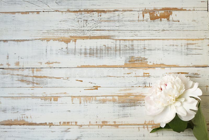 Tender and soft white peonies on scratched wood textured table.