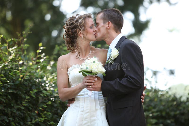 Tender wedding kiss stock photo. Image of mist, 17803108