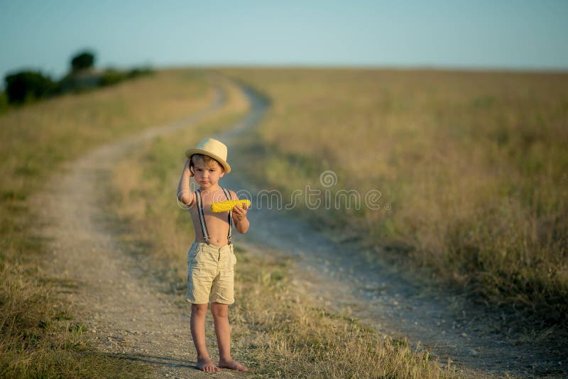 Tenencia del muchacho del niño y maíz de la selección en granja en campo, al aire libre Cosecha de maíz imagen de archivo Tenencia del muchacho del niño y maíz de la selección en granja en campo, al aire libre Cosecha de maíz imagen de archivo