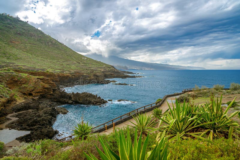 Tenerife El的壮观的火山海岸线，带有梯田的热带植物和俯瞰大西洋水域的木步道 免版税库存图片