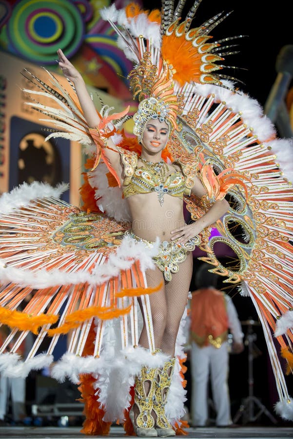 TENERIFE, IL 30 GENNAIO: Caratteri e gruppi nel carnevale fotografie stock libere da diritti TENERIFE, IL 30 GENNAIO: Caratteri e gruppi nel carnevale fotografie stock libere da diritti