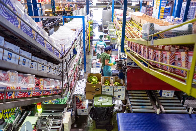 Tenerife, Spain - January 3, 2018 : Banana factory packaging line in Tenerife, Canary islands, Spain.