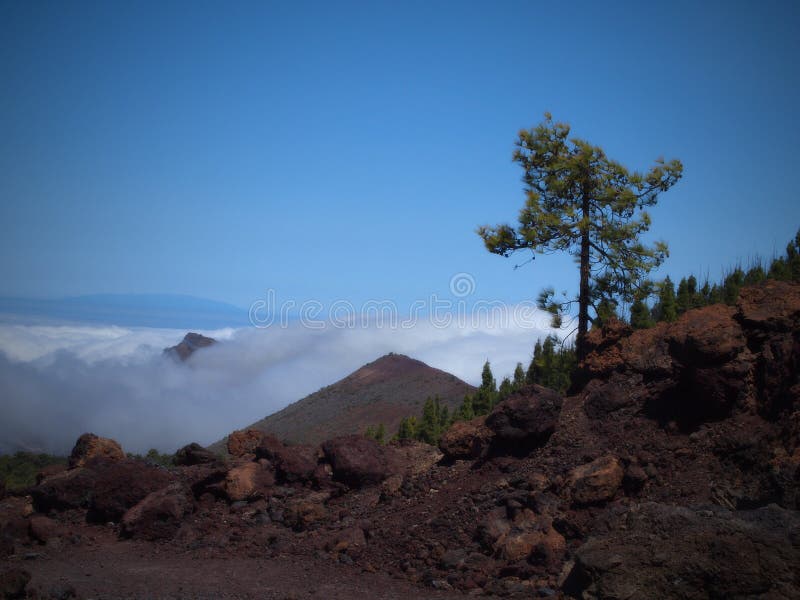 Tenerife é as Ilhas Canárias as maiores da Espanha s, situadas no Oceano Atlântico perto da costa de África imagens de stock royalty free Tenerife é as Ilhas Canárias as maiores da Espanha s, situadas no Oceano Atlântico perto da costa de África imagens de stock royalty free