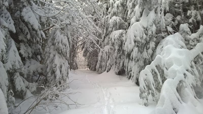 Teneriffe berg i vinter arkivbilder Teneriffe berg i vinter arkivbilder