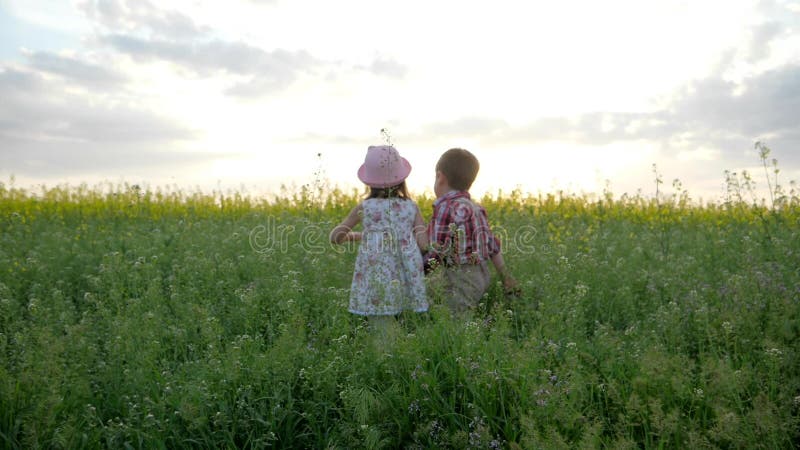 Tenersi per mano di camminata sveglio del ragazzo e della bambina, bambini al campo con i fiori, gioco del bambino in parco verde