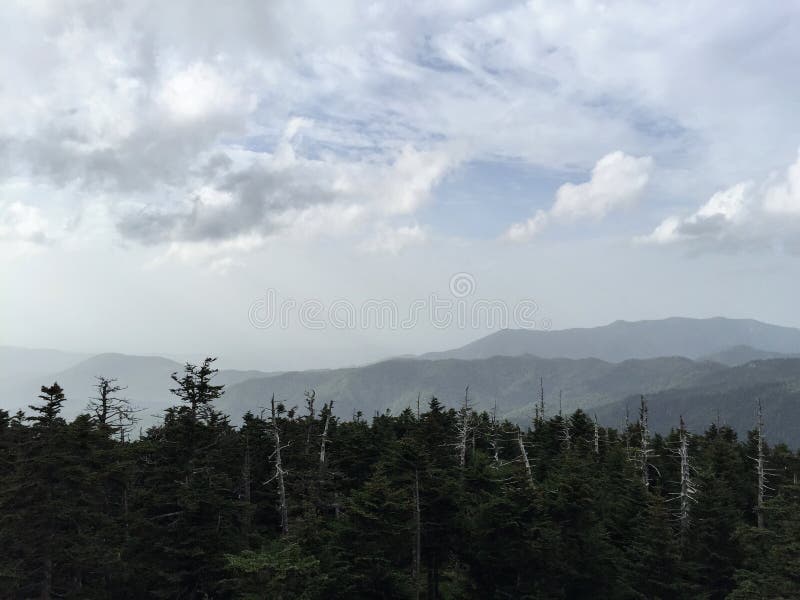 Tennessee Great Smokies Mountains Landscape fotografia stock Tennessee Great Smokies Mountains Landscape fotografia stock