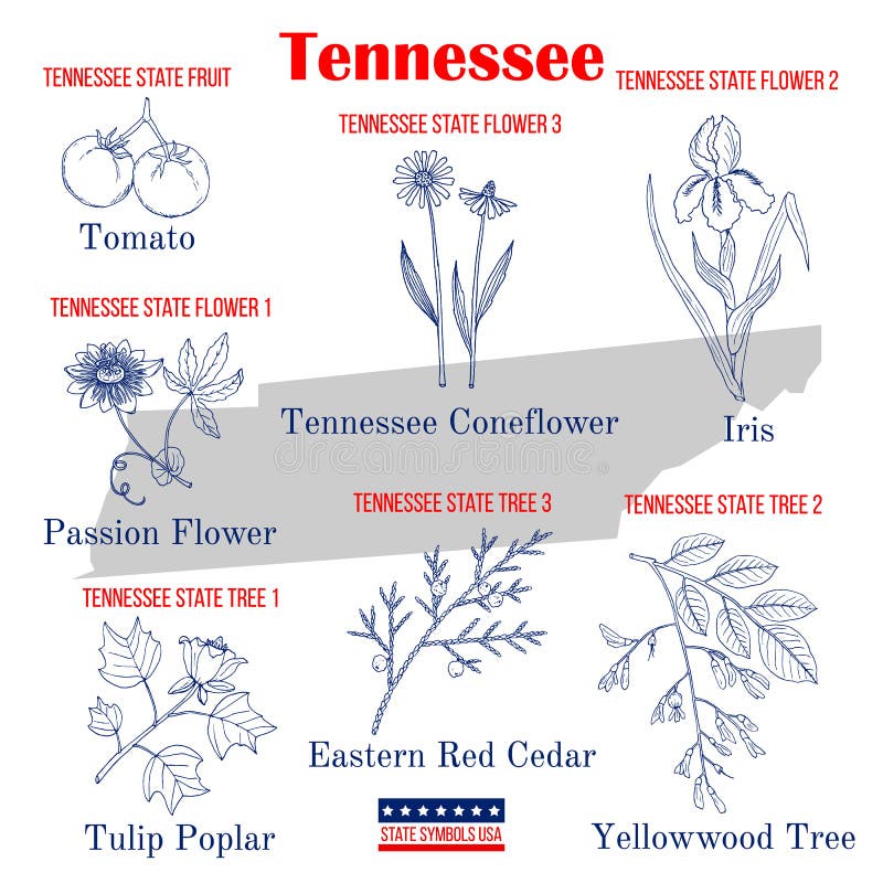 Tennessee. Set of USA official state symbols