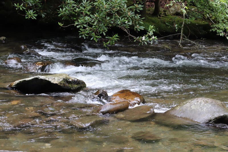 Tennessee Smoky Mountain Streams des Sommers lizenzfreie stockbilder Tennessee Smoky Mountain Streams des Sommers lizenzfreie stockbilder