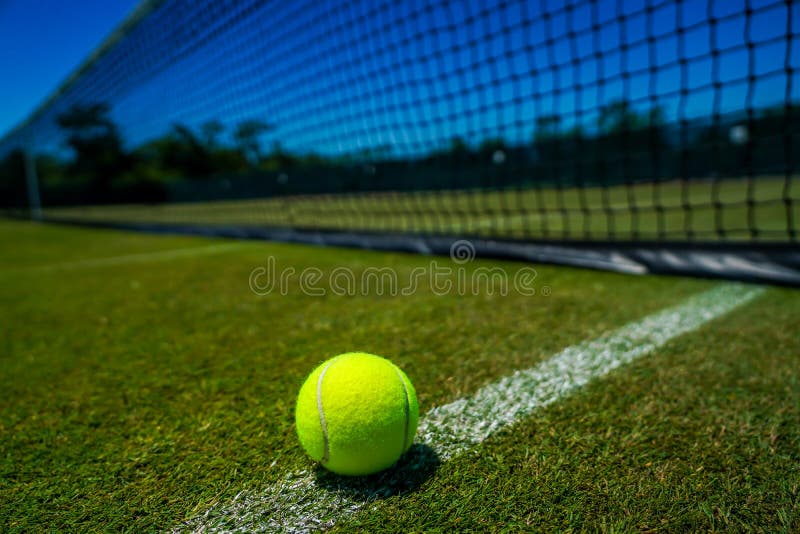 Tennis ball on grass court stock image. Image of center 222238413