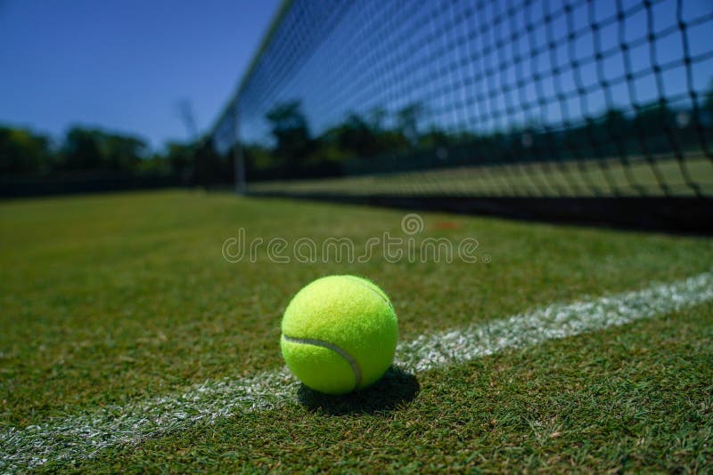 Tennis ball on grass court stock photo. Image of field 222238422