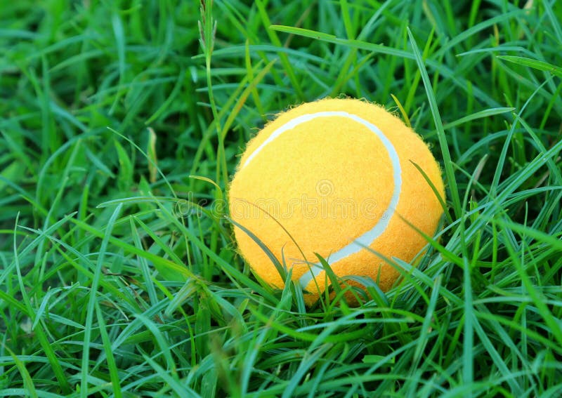 Tennis ball on green grass stock image. Image of competitive 44268853