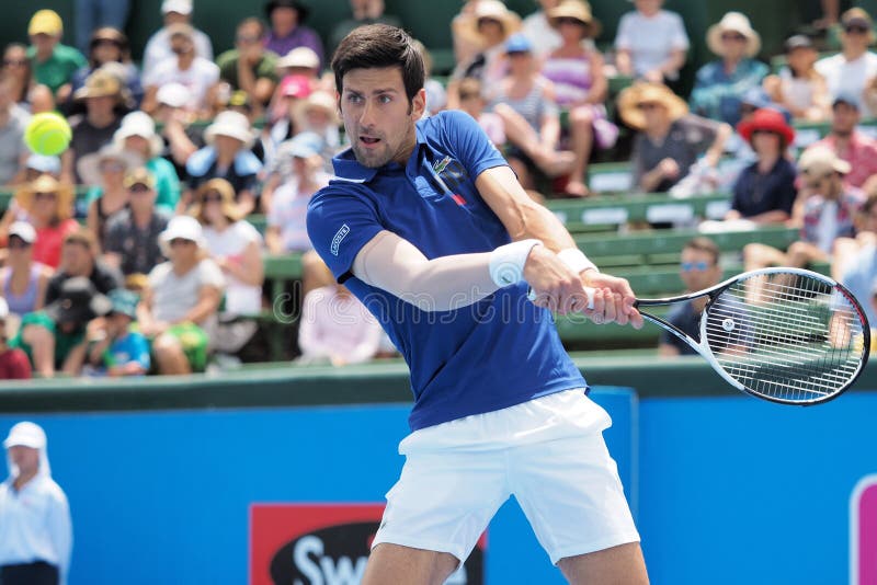 Tennis Novak Djokovic che prepara per l'Australian Open ai tournamen classici di mostra di Kooyong immagine stock Tennis Novak Djokovic che prepara per l'Australian Open ai tournamen classici di mostra di Kooyong immagine stock
