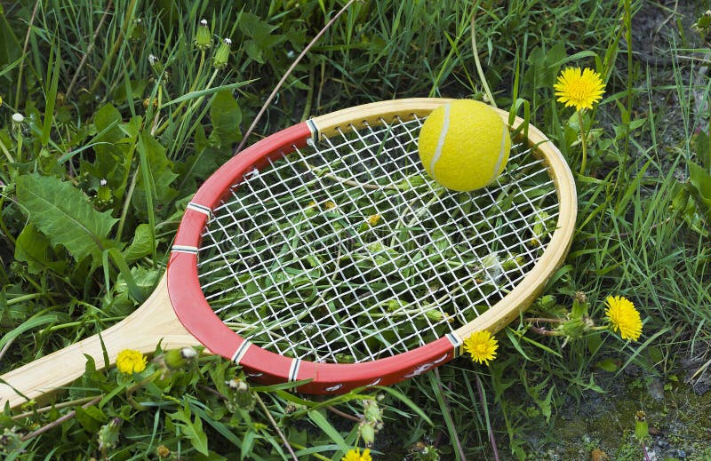 Tennis Racket and Ball on the Grass and the Dandelions Stock Photo