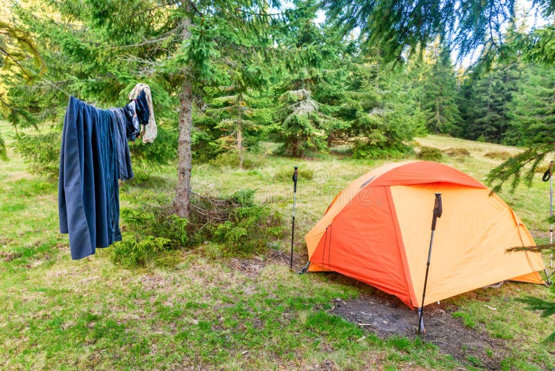 Tent Camp with Drying Clothes Stock Image Image of outdoors, pine