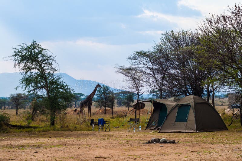 Tent camp in safari